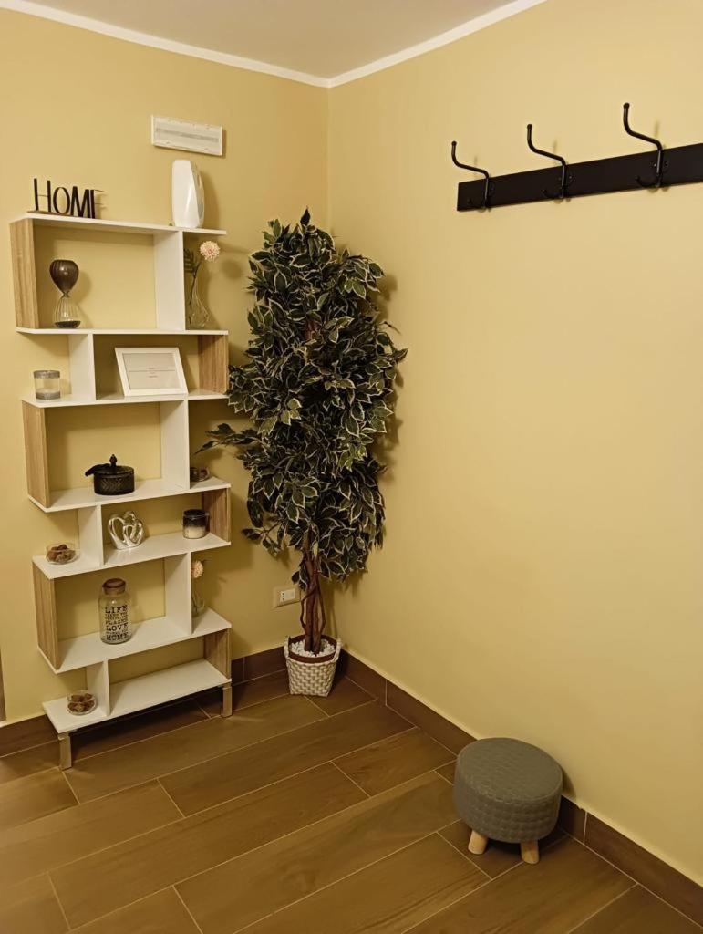 Apartmán A Piscaria CTA Exteriér fotografie